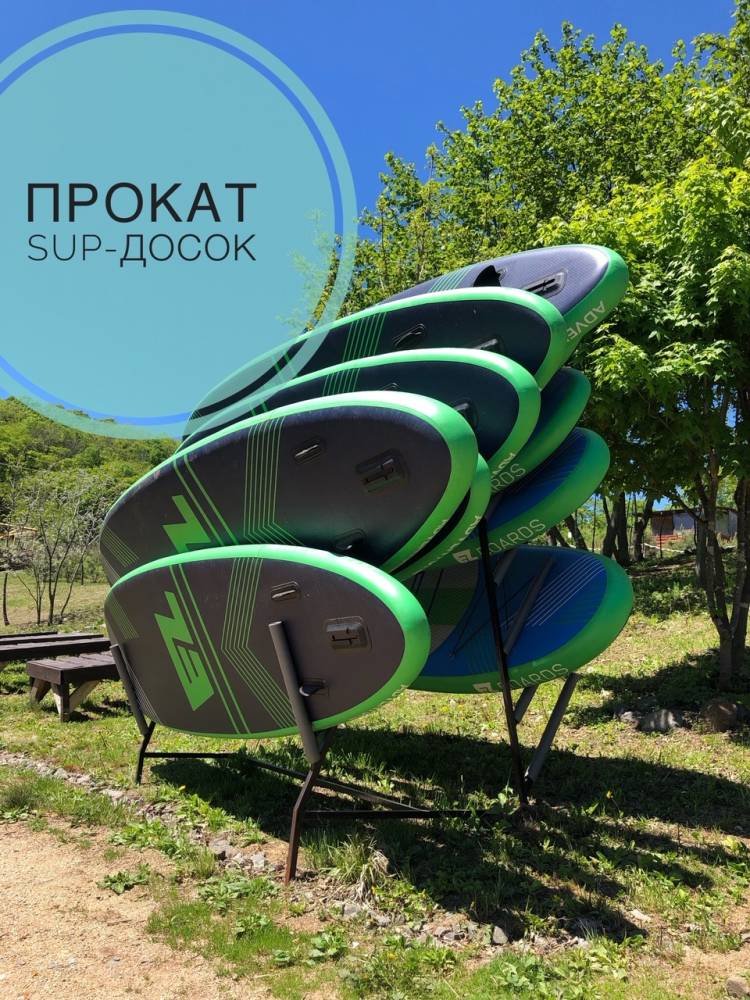 Барон Бэр